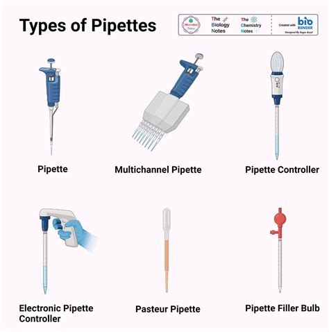 Types of Pipettes and How to Use Them